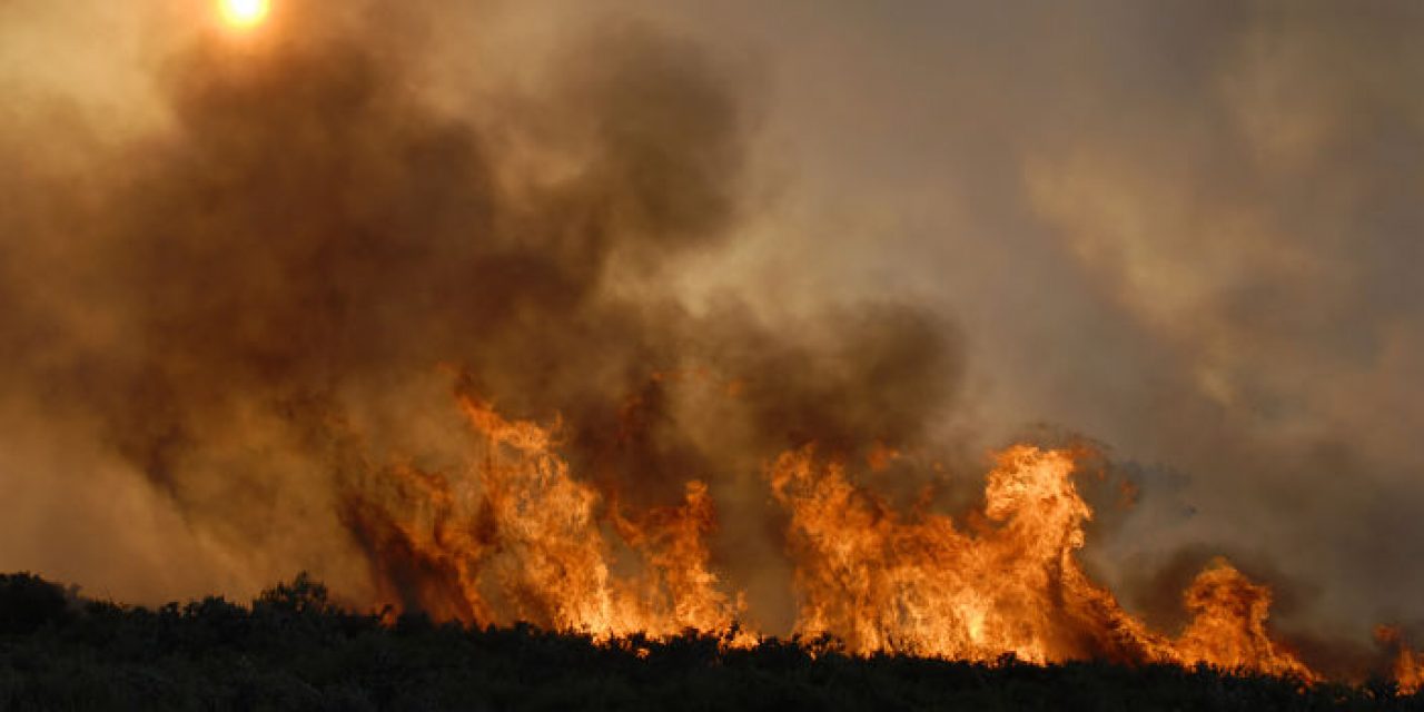 Bombero controló incendio que quemó 6 hectáreas de monte en Joaquín Suárez