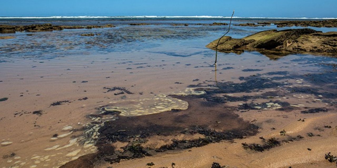 Brasil: Petrobras confirmó que el petróleo que afectó más de 200 playas, proviene de tres campos venezolanos