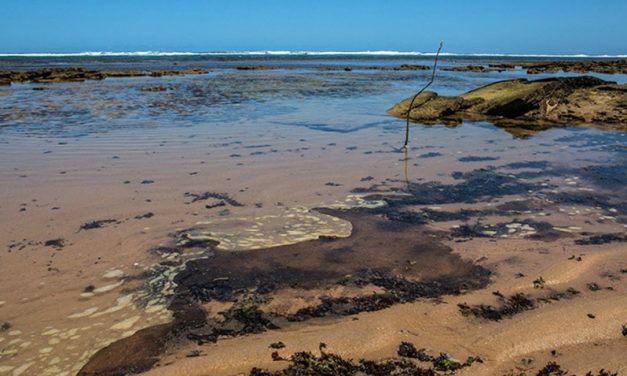 Brasil: Petrobras confirmó que el petróleo que afectó más de 200 playas, proviene de tres campos venezolanos