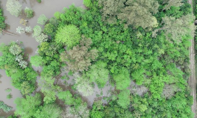 114 personas continúan desplazadas por las lluvias en el norte del país