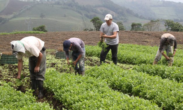 Desde Reino Unido ven con buenos ojos las negociaciones en el sector agricultor con Uruguay