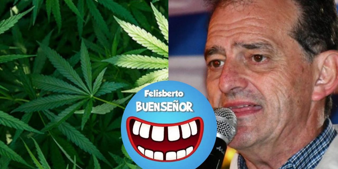 «Cómo quedará la cabeza de los cabildantes después de una pitada de marihuana»: la columna de Felisberto