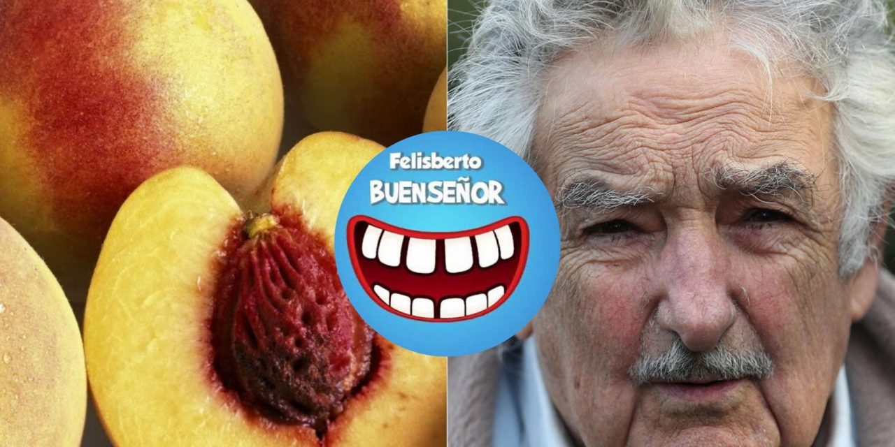 Otro carozo en la compostera de Mujica: la columna de Felisberto Buenseñor