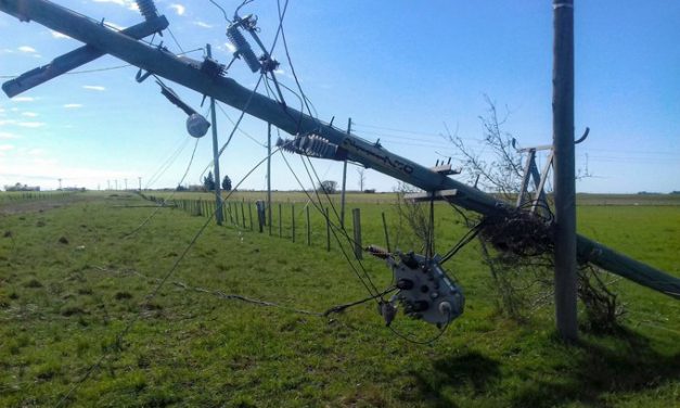 Más de 7900 hogares permanecen sin luz tras el temporal que causó voladura de techos y caída de árboles