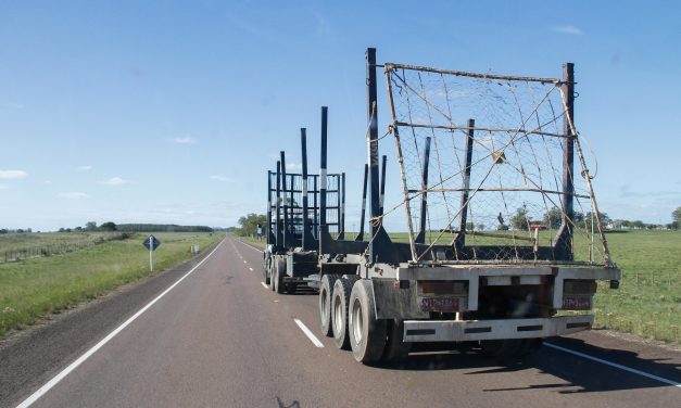 Se ejecutarán obras de repavimentación en Ruta 12