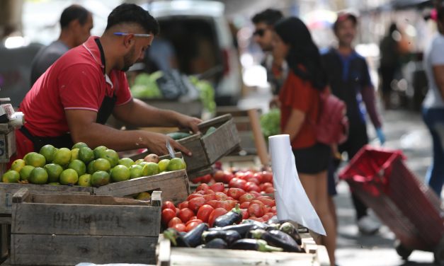 Tras medidas implementadas bajó a 22,5% la cantidad de puestos en ferias de Canelones