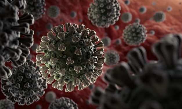Se detectaron 16 casos positivos nuevos de Coronavirus COVID-19 en Uruguay