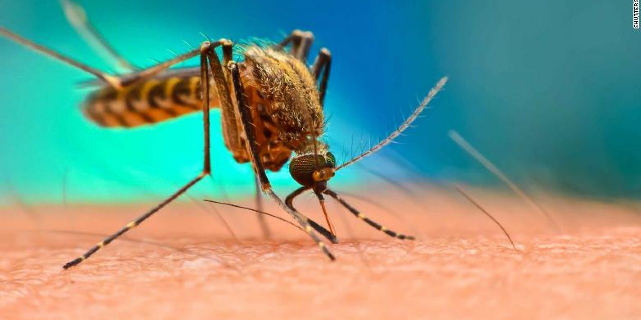 El MSP confirmó una persona con dengue en Pocitos