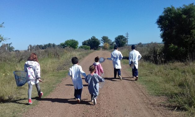 Director de Educación: “No se está perdiendo el año, se está avanzando”