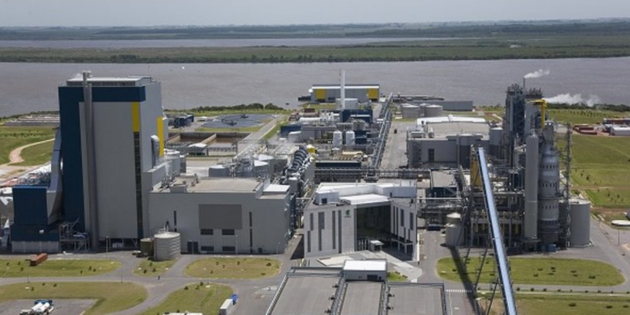 La industria del papel y la celulosa en Uruguay consumen el 65% de la energía industrial