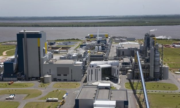 La industria del papel y la celulosa en Uruguay consumen el 65% de la energía industrial