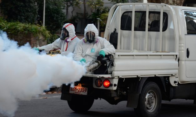 San José comenzará fumigación tras dos casos confirmados de dengue autóctono