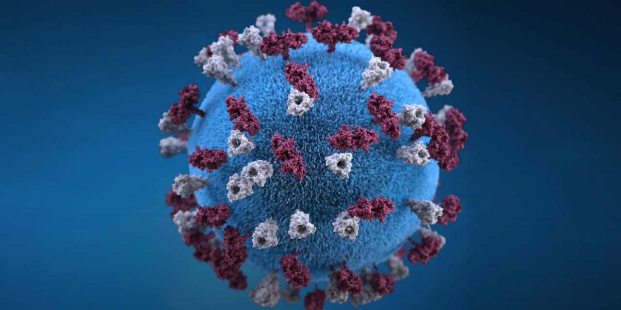 España no tuvo ningún muerto de coronavirus por segundo día consecutivo