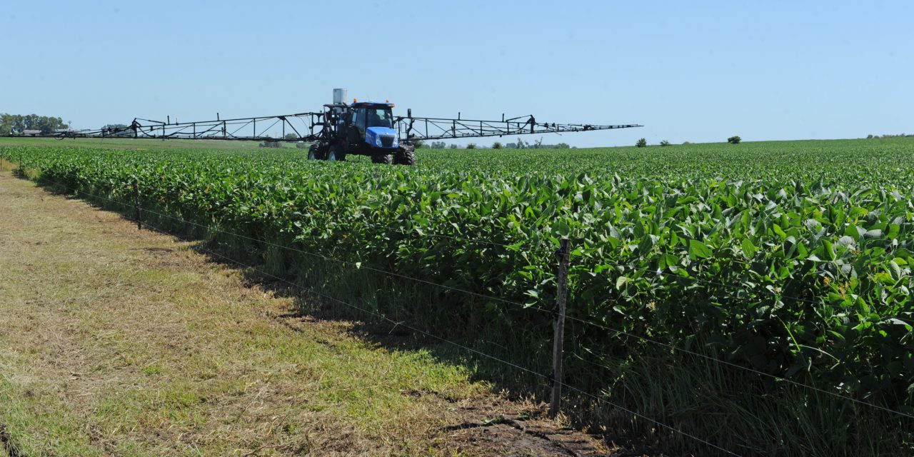 El agro en Uruguay: momento de buenos precios y mayor ganancias para los productores