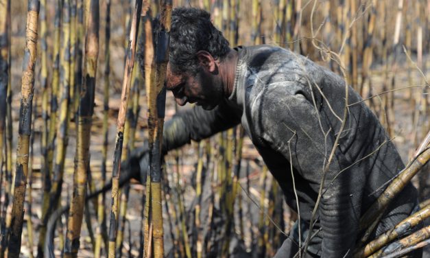 El capataz que agredió a un trabajador con un rebenque será formalizado sin prisión