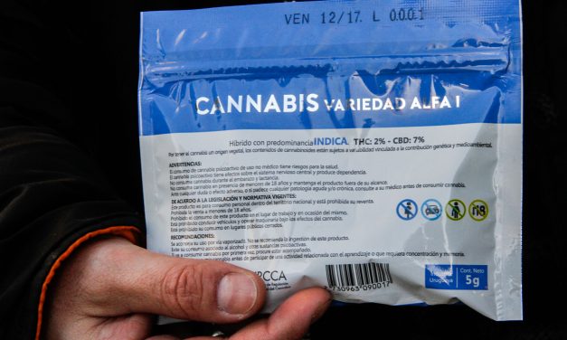 «Se ha bajado la percepción del daño que ocasiona»: Cabildo Abierto avanza para derogar la ley de regularización de marihuana