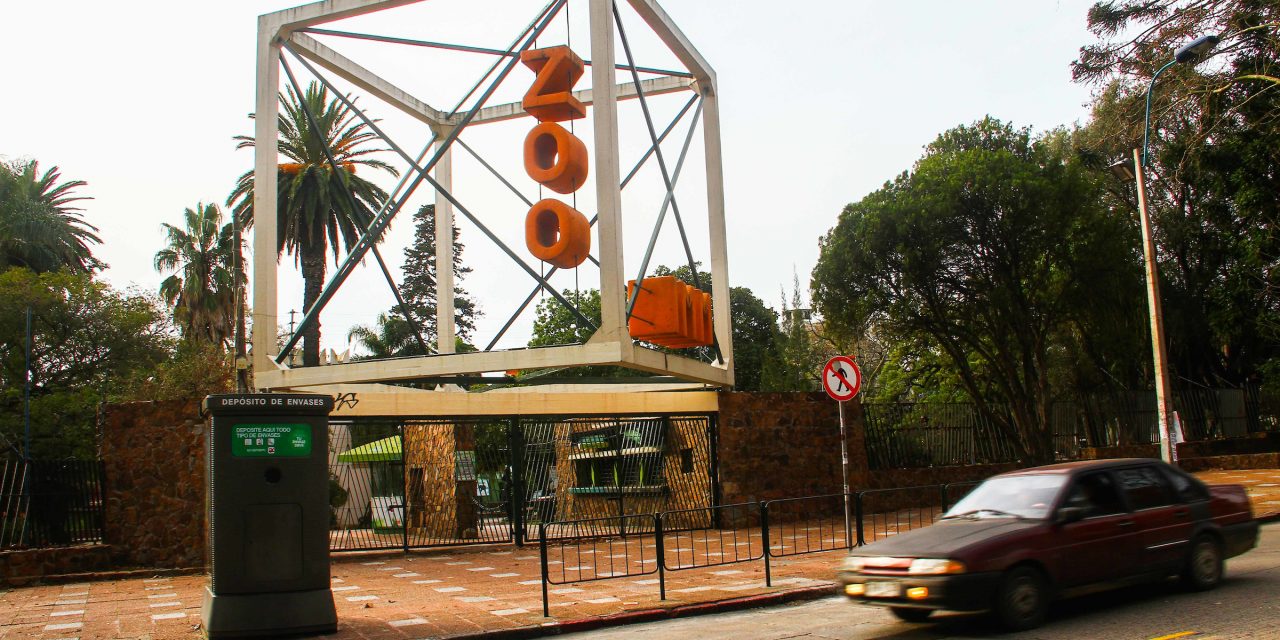 Coalición multicolor cerrará el zoológico de Villa Dolores si «no es viable» reformularlo