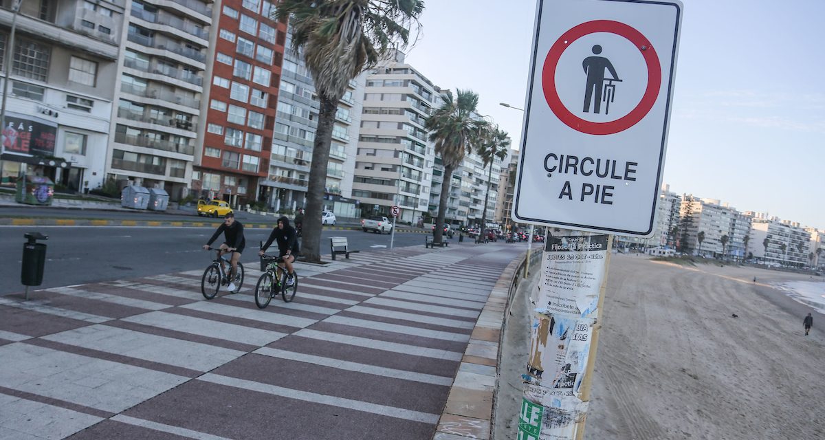 Las 17 ideas finales del ciclo “Montevideo Decide” serán realizadas en 2021