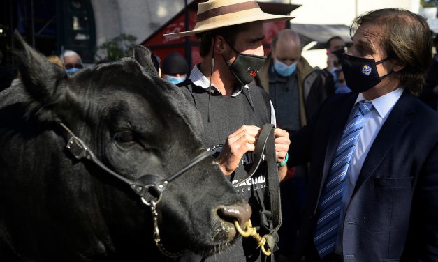 Carolina Cosse participará de la inauguración de la Expo Prado y Lacalle Pou del cierre