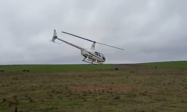 Persecución policial con helicóptero en San Ramón tras rapiña a local de pagos