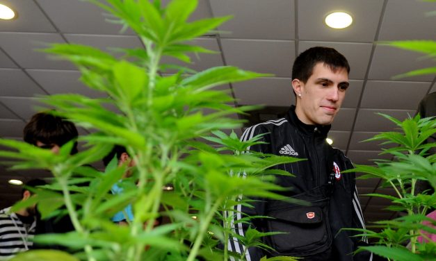 Larrañaga cuestiona que hay sólo “4 fiscalizadores para 159 clubes cannábicos”