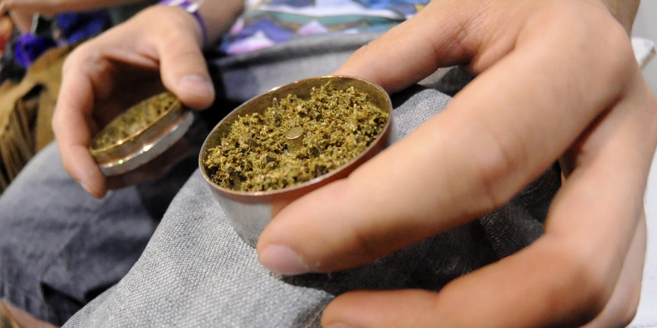Comercio de cannabis medicinal está en riesgo por falta de bancarización y regulación