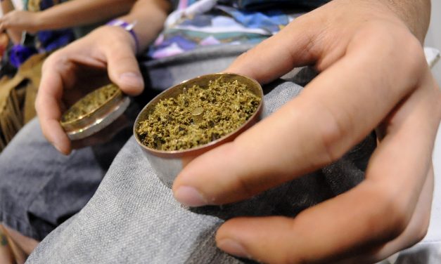 Comercio de cannabis medicinal está en riesgo por falta de bancarización y regulación