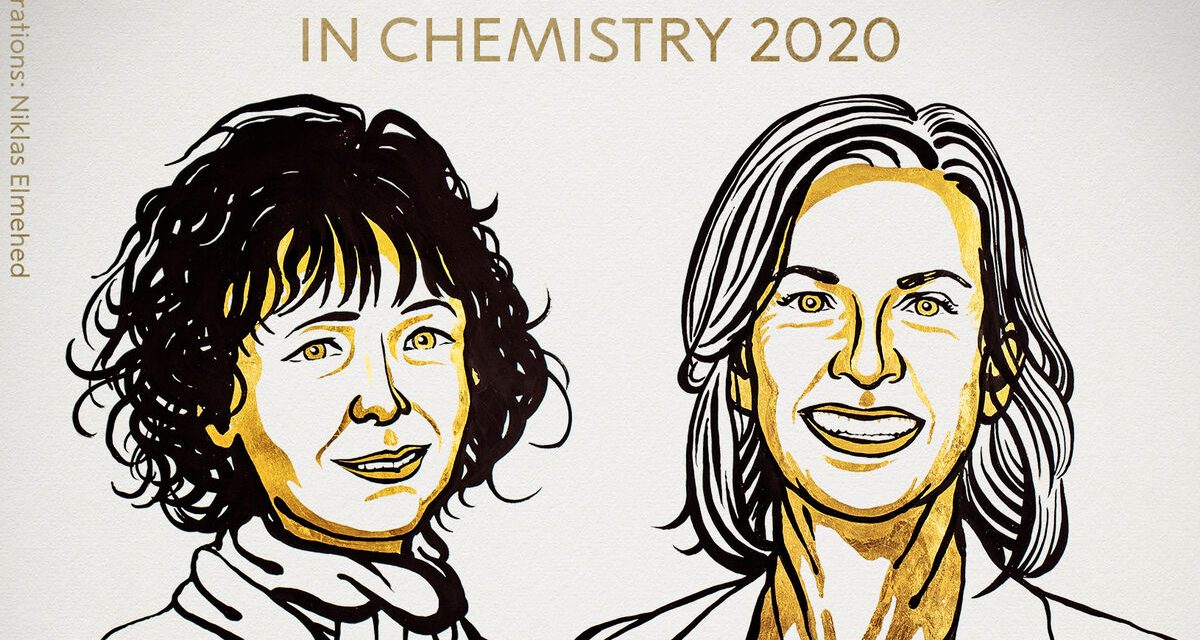 Premio Nobel de Química 2020 para Charpentier y Doudna