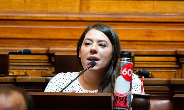 Diputada sobre la autocrítica del FA: «Es feo pegar en el piso»
