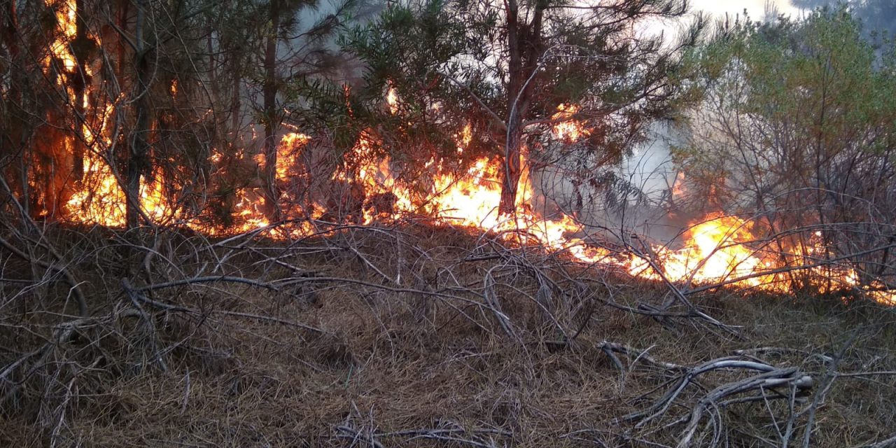 Benítez sobre incendio en Interbalnearia: «La rotación del viento hace que la tarea sea compleja»