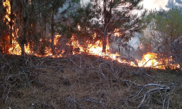 Benítez sobre incendio en Interbalnearia: «La rotación del viento hace que la tarea sea compleja»