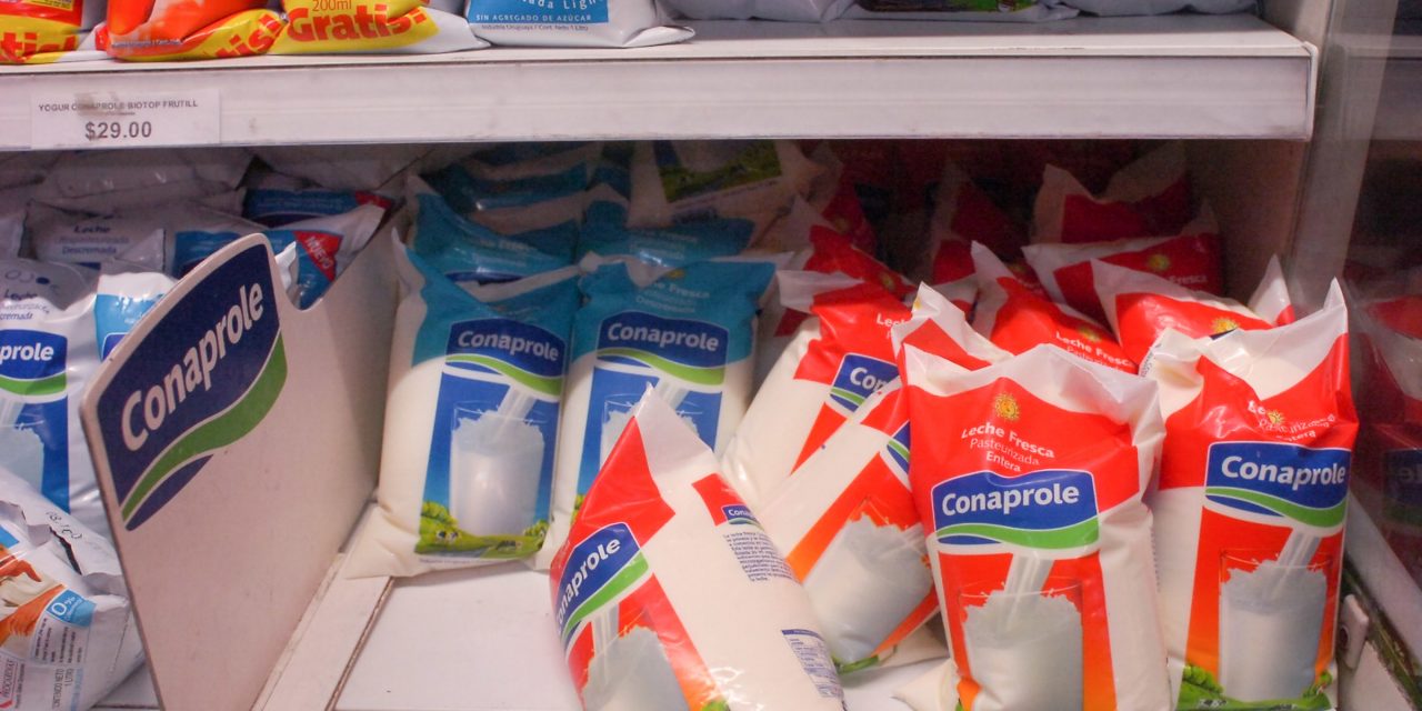 Sindicato de Conaprole advierte que esta semana puede continuar el faltante de leche fresca