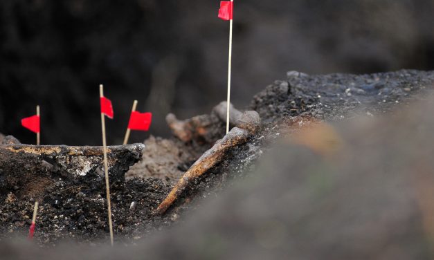 Se retoman este lunes las excavaciones en el Batallón 14