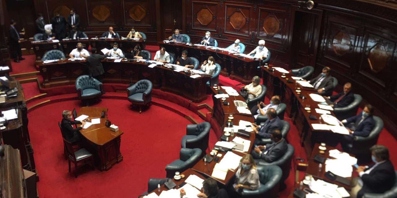 Se debate la reglamentación del derecho a reunión en el Senado: conozca la opinión de los legisladores