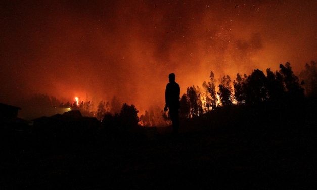 Incendio en Punta del Diablo: el fuego está controlado y Bomberos realiza tareas de enfriamiento