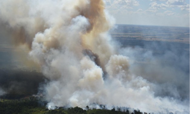 Bomberos combate un incendio forestal en Sierra de las Ánimas