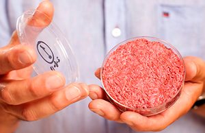 Qué es, cómo se produce y cuándo podría salir al mercado la carne sintética: la columna de Carlos Vera