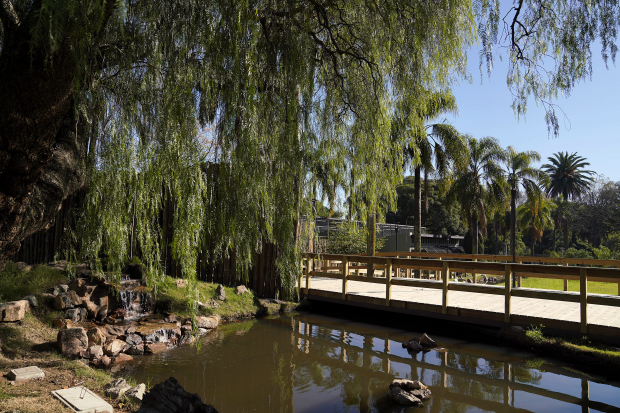 Jardín Botánico y Parque de la Amistad abren sus puertas en Turismo