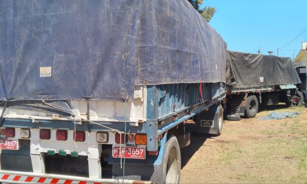 Incautaron en Salto un camión, dos camionetas y mercadería por más de 7 millones de pesos
