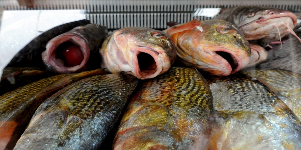 Feriantes piden a clientes adelantar compra de pescado para evitar aglomeraciones