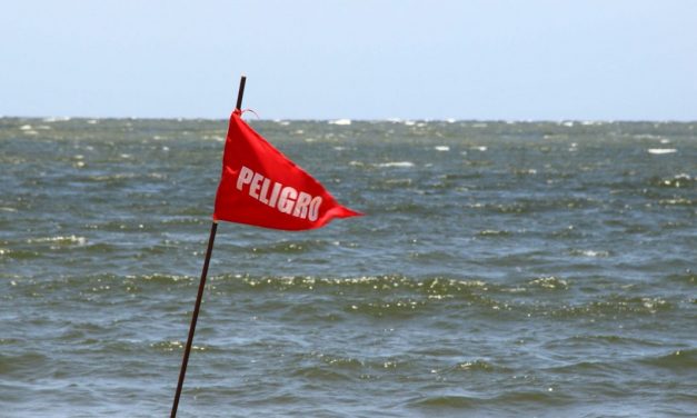 IM alerta a la población tras encontrar una serpiente en playa Ramírez