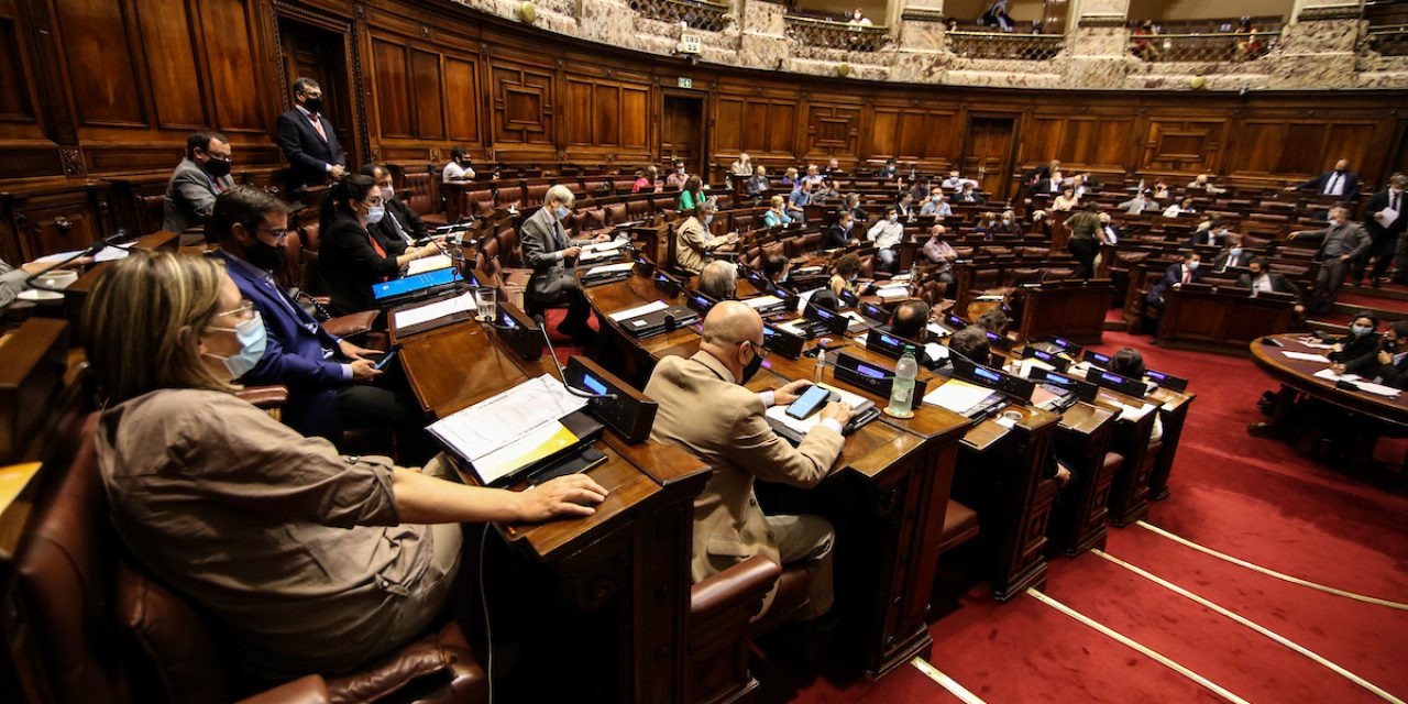Cuatro diputados blancos votan a favor del Proyecto de Ley de Eutanasia en caso de extremar garantías