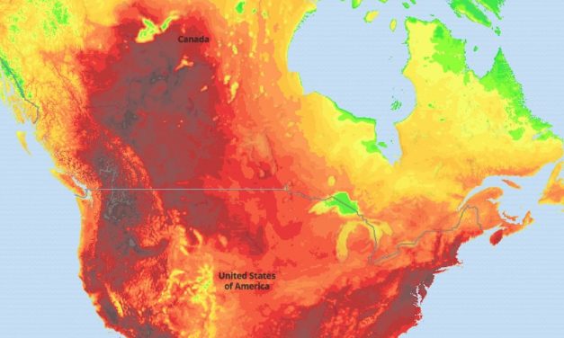 En Canadá la ola de calor dejó al menos 130 muertos