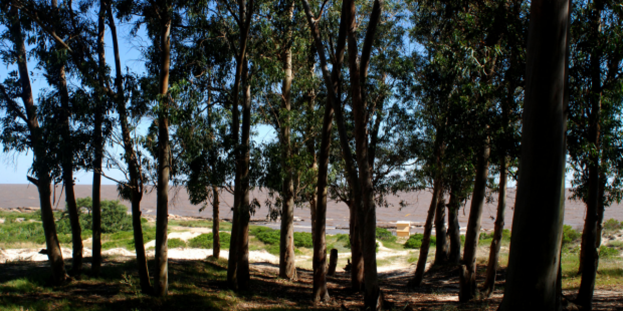 Desde este sábado el parque Punta Espinillo reabre sus puertas