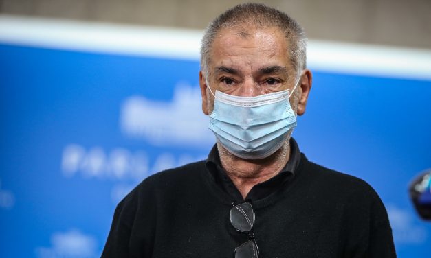 Antonini: “La coalición blindó a Cardoso y creó una cortina de humo entorno a la investigadora”