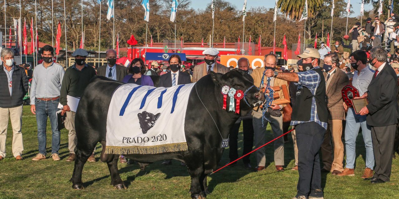 Expo Prado: el viernes comienza la edición 116 que exigirá presentar el certificado de vacunación anticovid