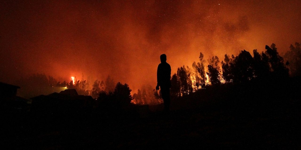 Inumet pronosticó aumento de temperaturas y riesgo de incendio forestal “muy elevado”