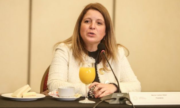 Presidenta de la Cámara de Turismo: «Hay que apuntar a visitas de otros mercados»