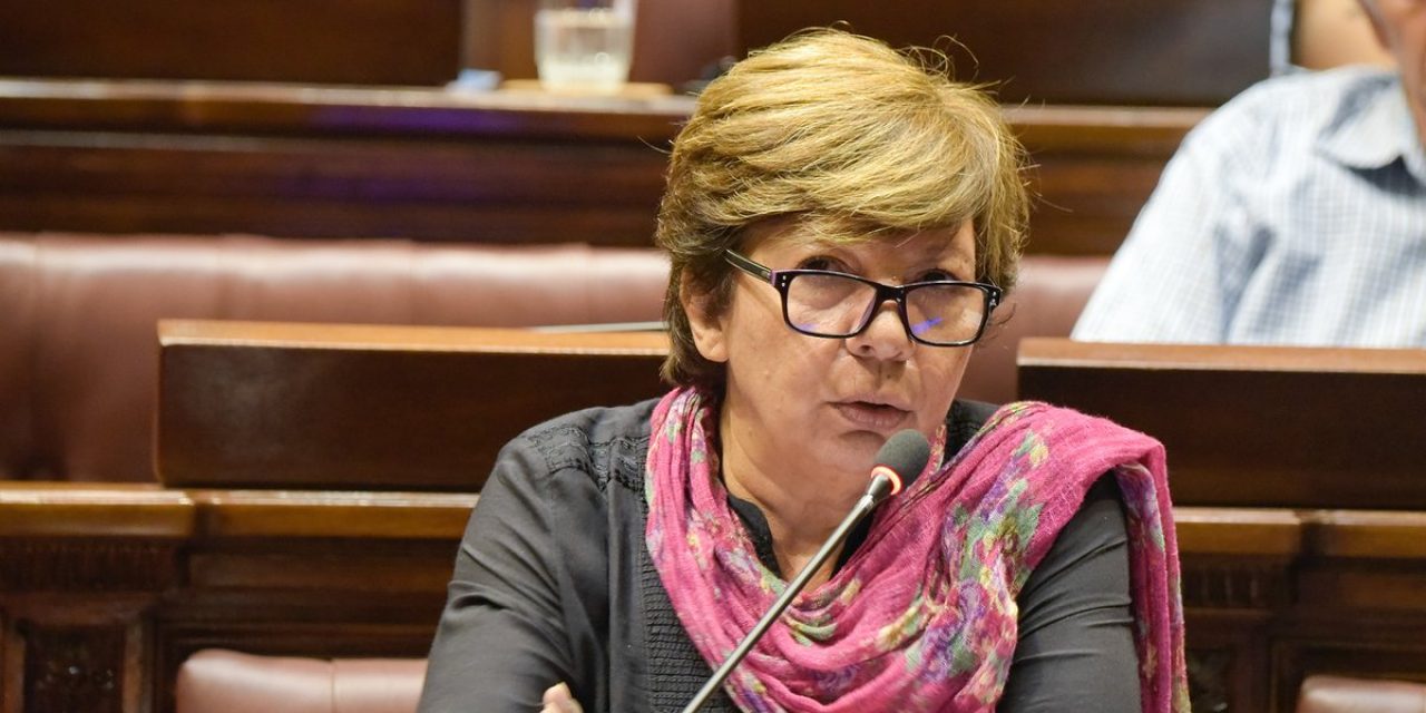 Oficialismo convoca a Susana Pereyra a comisión de Seguridad por custodia procesado por tráfico de armas