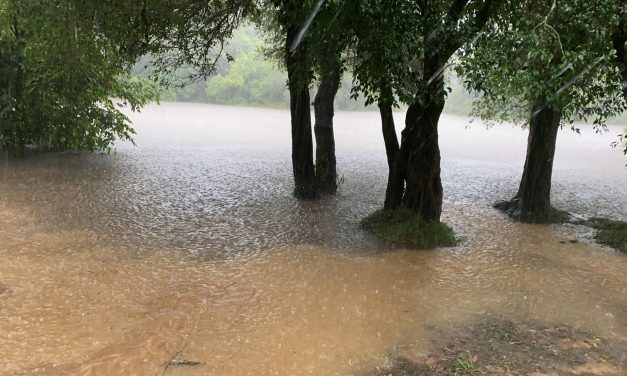 17 evacuados tras inundaciones por intensas lluvias en ciudad de Rocha